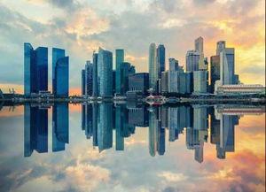 浙江楼市爆料网最新信息,揭秘热点区域房价走势与政策动向